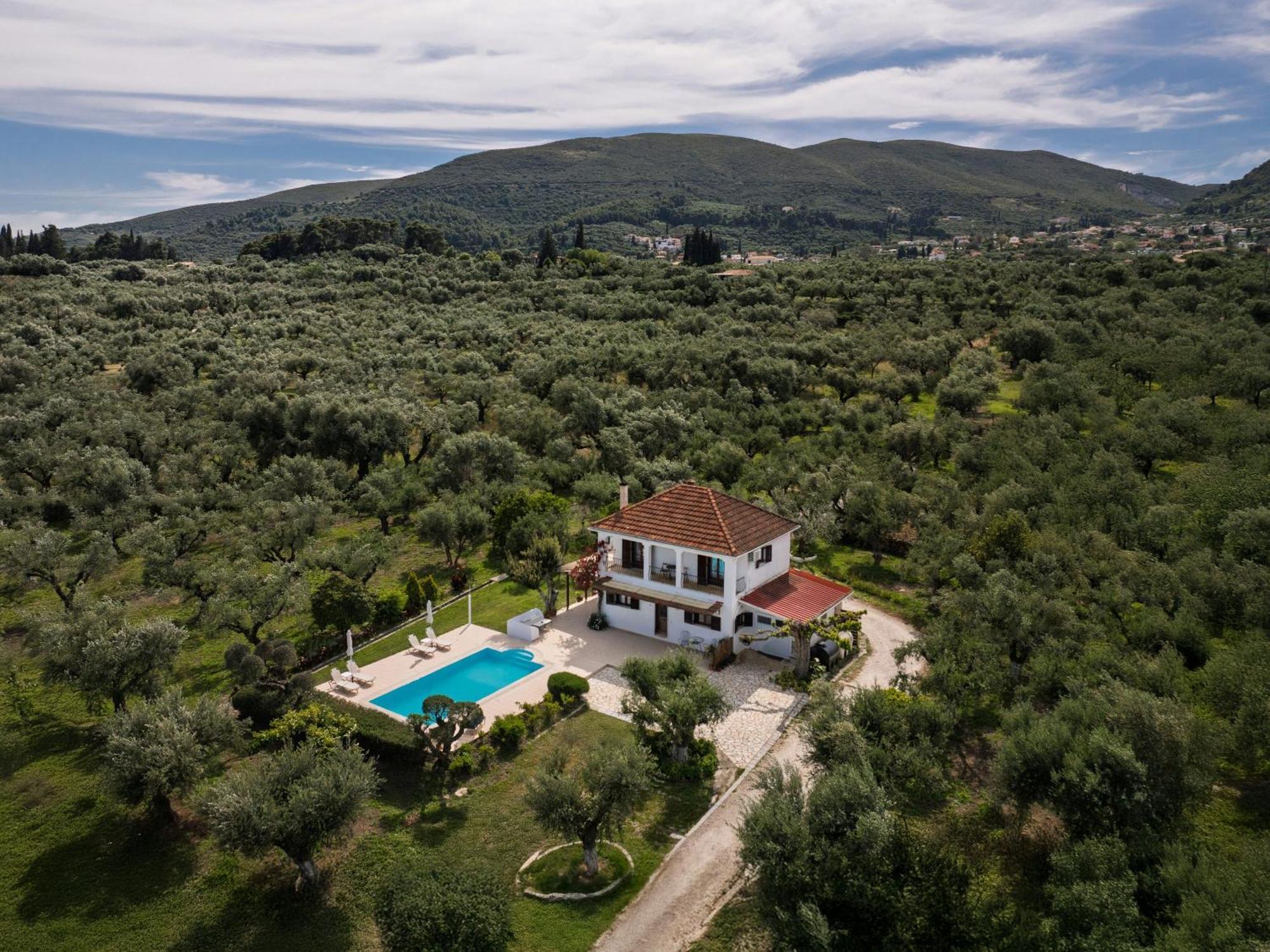 Villa Lola - 3 Bedrooms & Private Pool Lithakia  外观 照片